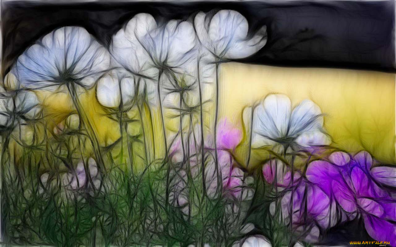 3, , flowers, 